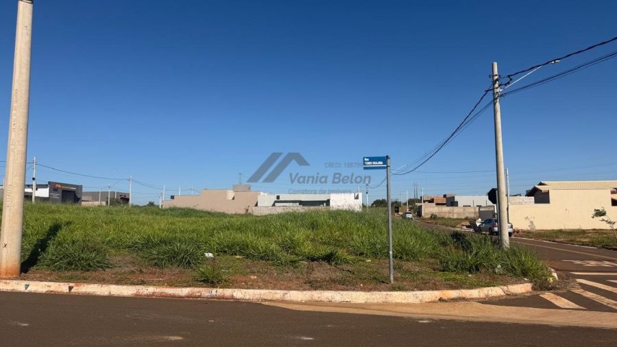 Terreno - Venda - Monte L�bano II - Jales - SP