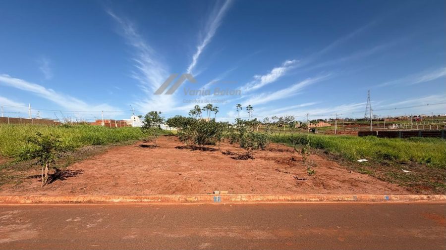 Terreno - Venda - Monte L�bano II - Jales - SP